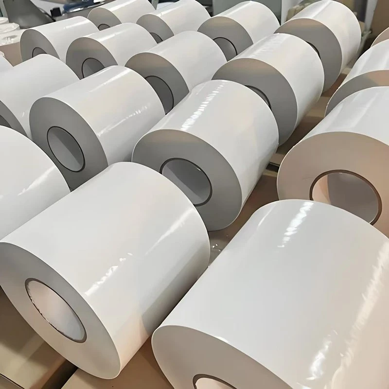 product-800-800 product-800-800
